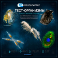 Тест-организмы Тест-организмы